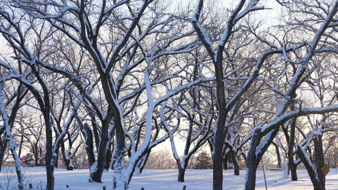 Wind chills of -20? Wichita’s first ‘cold blast’ of the season forecast to hit soon