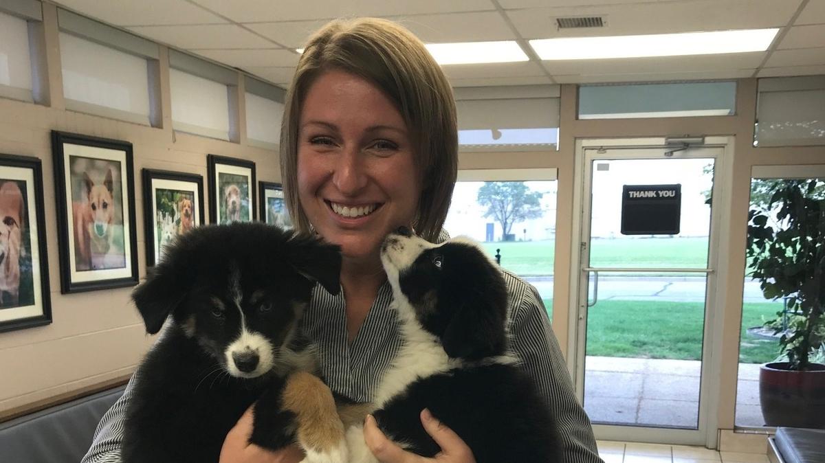 Larissa Adair, shown with a couple of rescue puppies, and Missy Cribbs have opened Suite Paws to board dogs and cats and offer play care.
