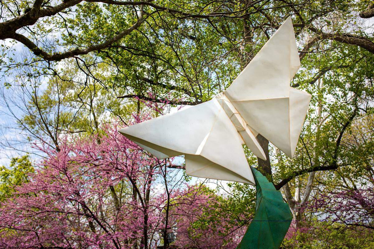 Origami in the Garden is the latest traveling exhibit at Botanica on display through New Mexico-based artist Kevin Box translates and transforms small paper origami creations made by the origami artists he collaborates with into much larger-scale metal sculptures.
