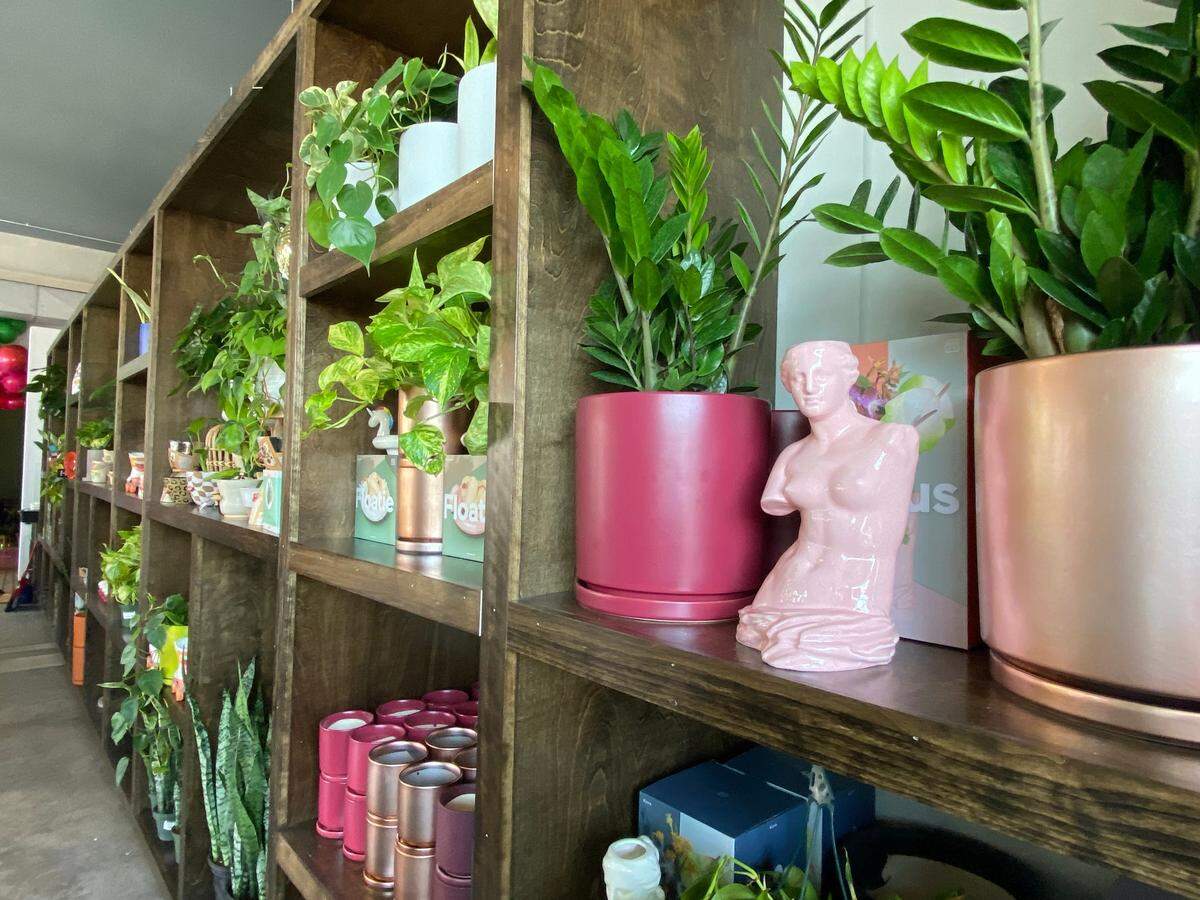 GROW, which opens Thursday, features a big retail section filled with plants, plant accessories and whimsical planters.
