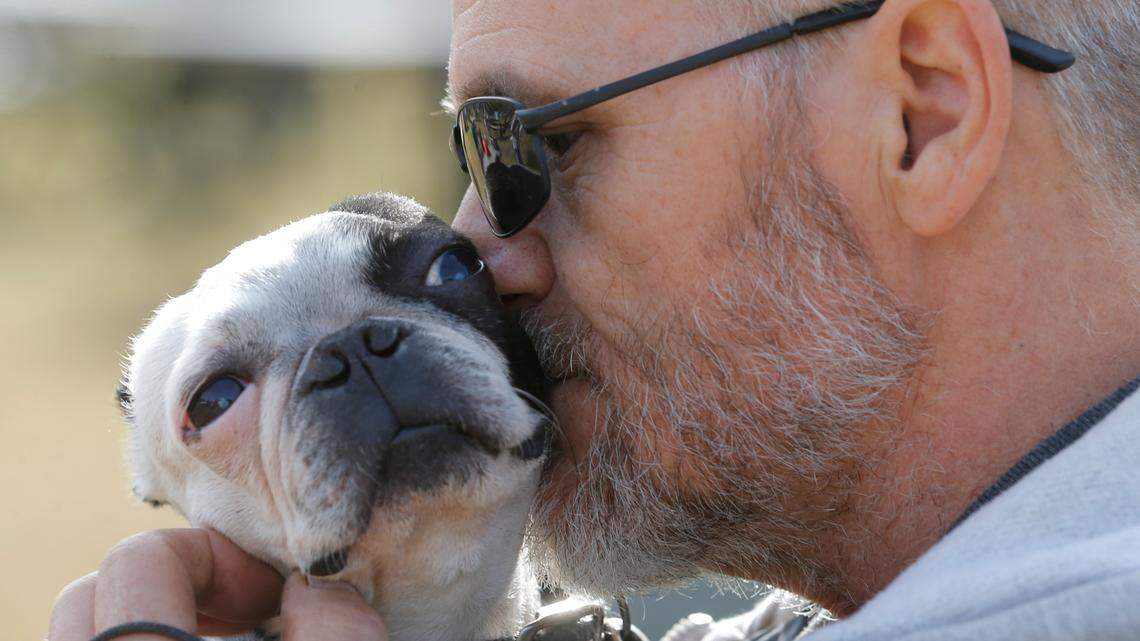 Dog owners rejoice — this Kansas city was named No. 4 in US for affordable pet ownership