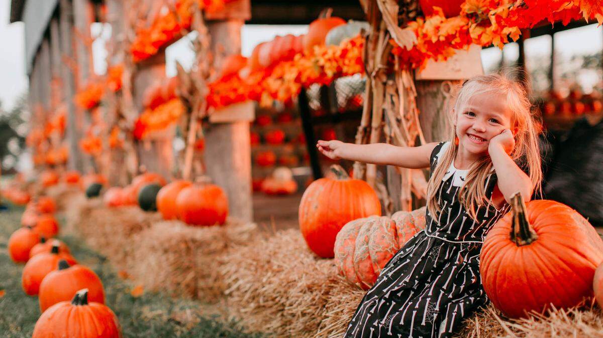 Cedar Creek Farm and Pumpkin Patch at 6100 N. 119th St. West will open for the season on Sept. 23.