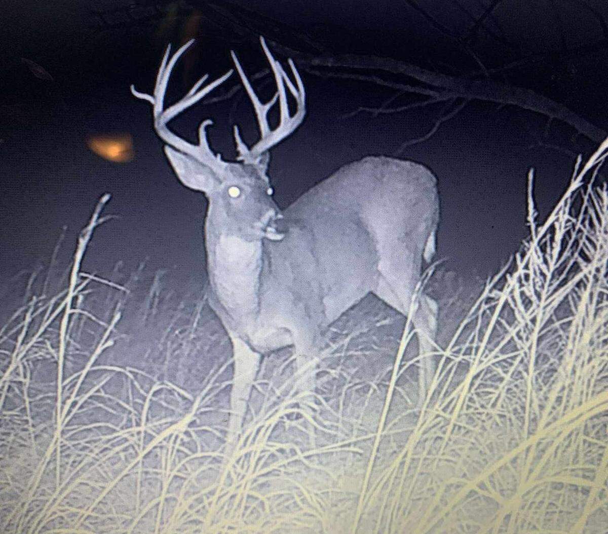 A 2022 photo of Dallas Birk’s buck.