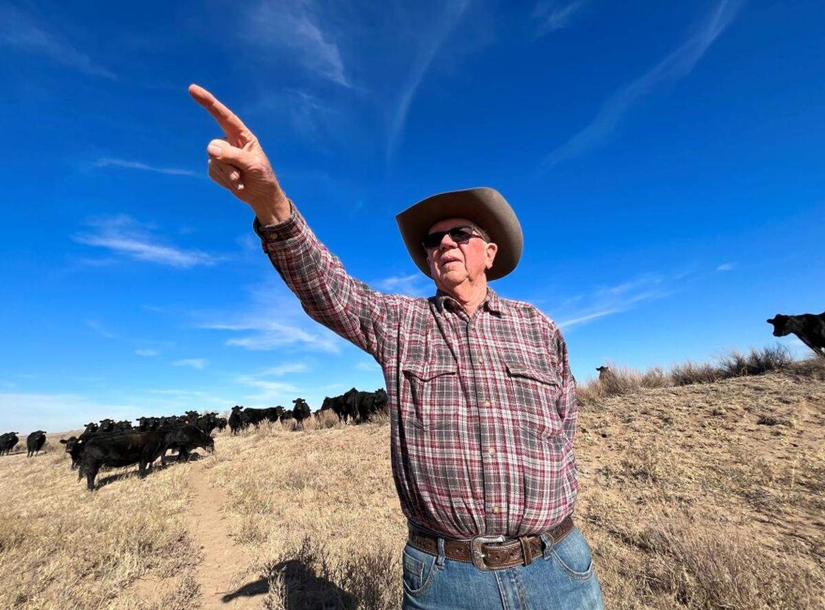 Rancher Bob Davies points toward the piece of land he renamed “Coyote Pasture” after losing several calves to attacks years ago.