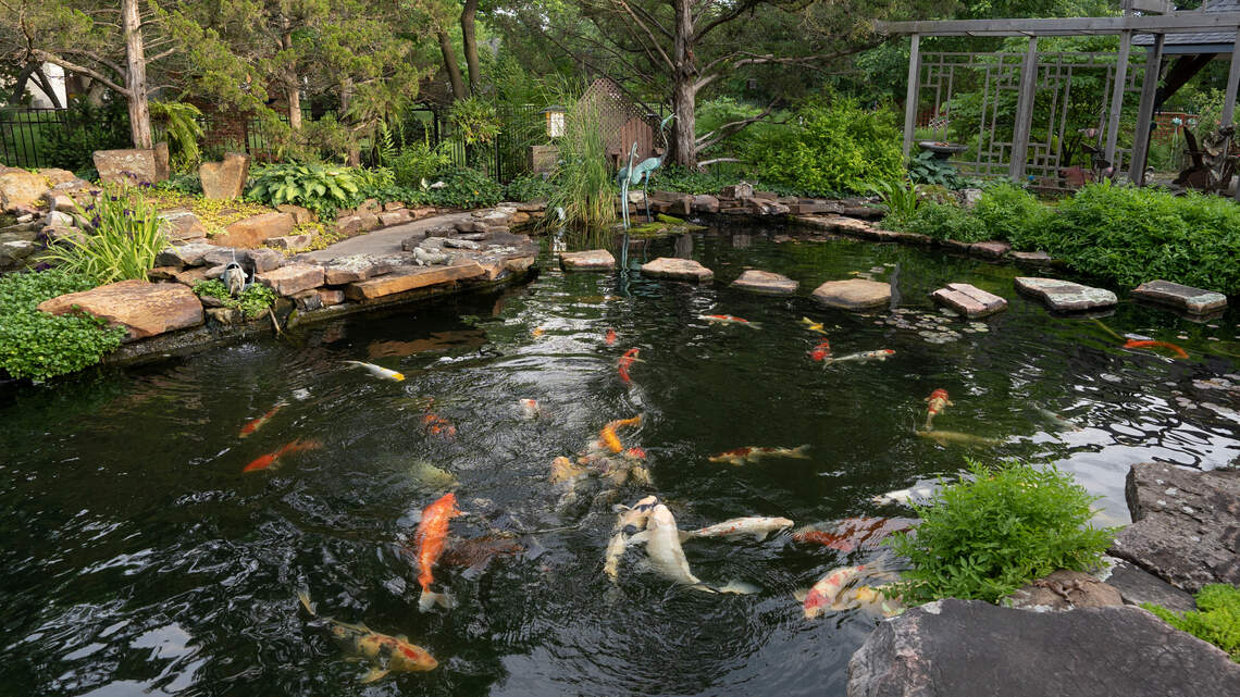 DIY water gardens of various sizes are featured in the 2022 Kansas Pond Society tour