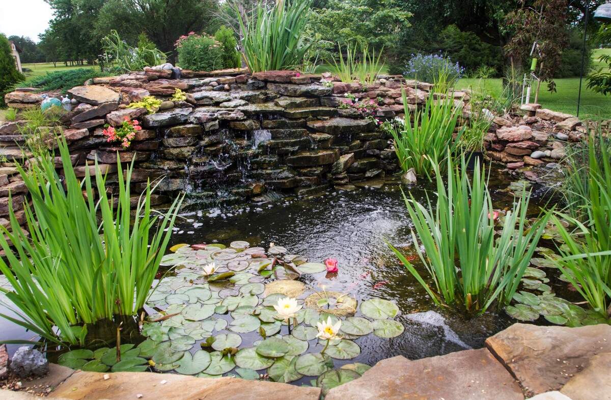 Lots of scenic ponds will be on display during this weekend’s Water Garden Tour.