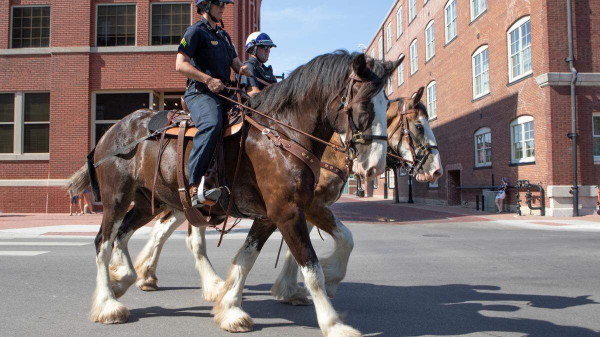 Wichita Police Department’s mounted patrol ride around Old Town in 2019.