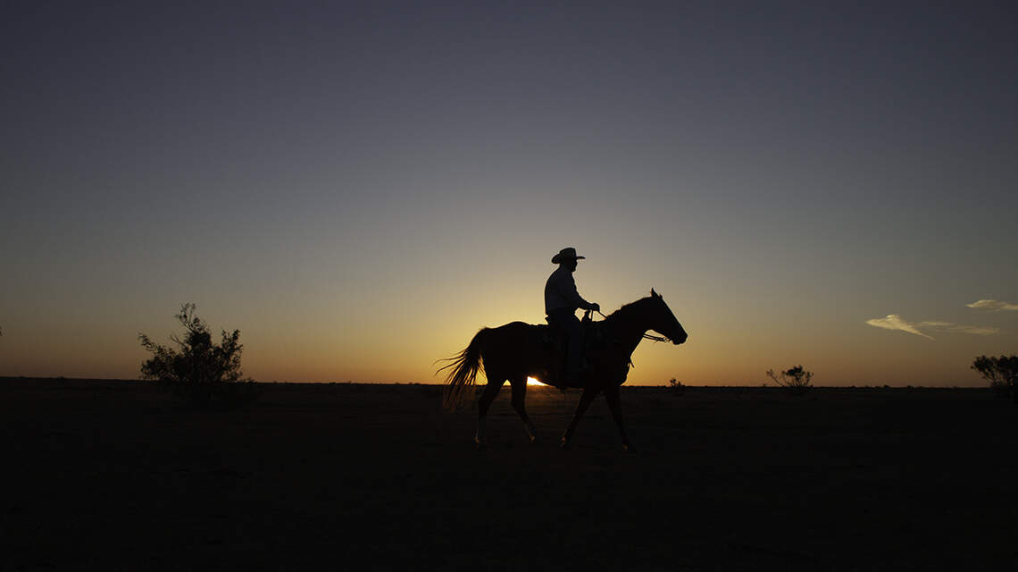 Kansas is fourth state to find viral disease in horses this year