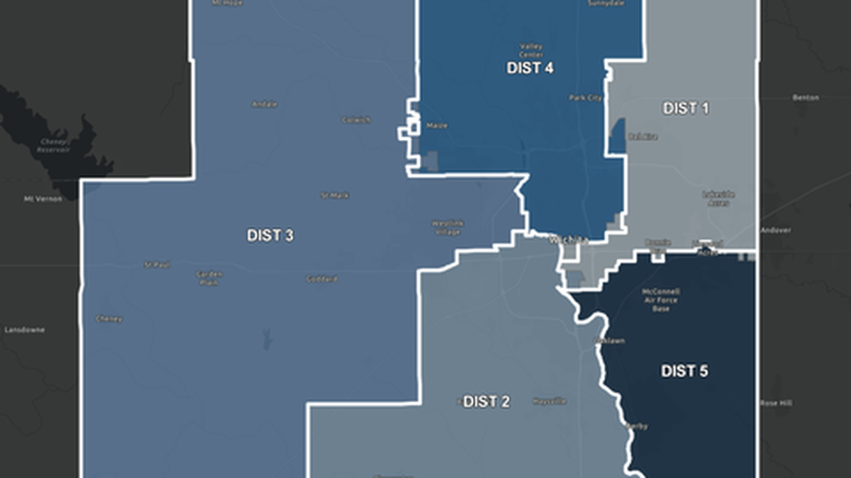 The Sedgwick County Ad Hoc Redistricting Committee voted unanimously to recommend redistricting map Plan 6 to the Sedgwick County Commission.