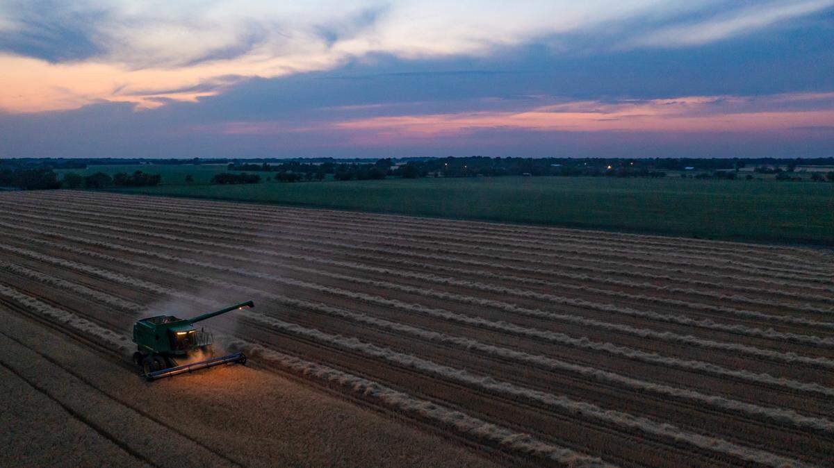 Darren Young harvests wheat Friday evening near Mt. Hope. Hot, dry weather has put the annual Kansas wheat harvest into full swing.
