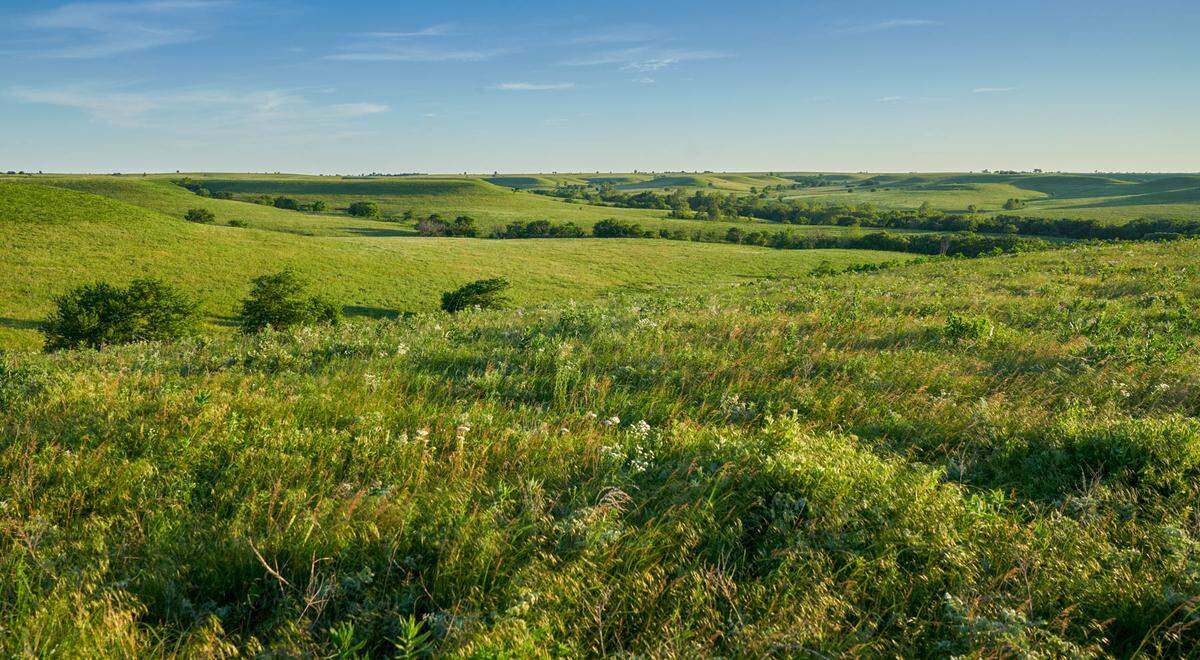 Wagstaff Ranch.