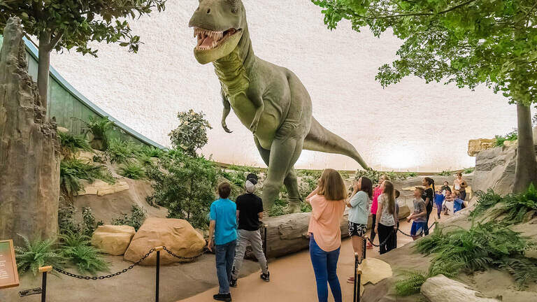 Fate of Kansas museum hinges on university announcement next week