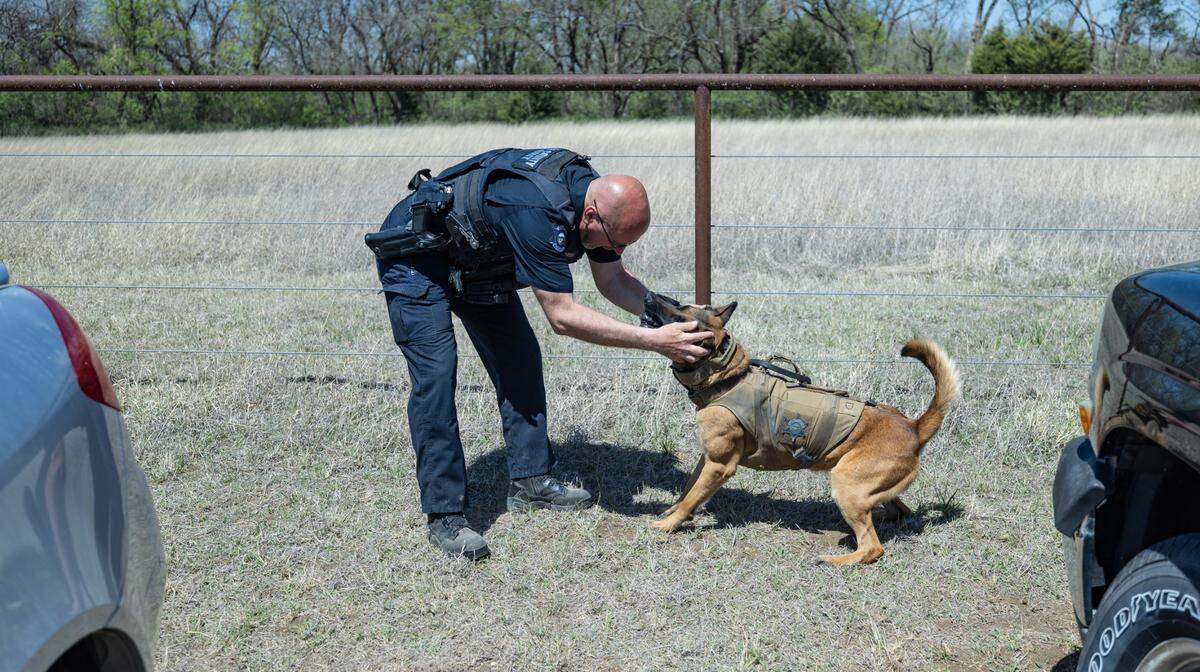 Butler County Sheriff deputy Chip Weber congratulates his K-9 Lego after the dog successfully found a single stash of drugs amongst five parked cars during the 25th annual Kansas Police Dogs Association re-certification conference in Andover on Tuesday. Roughly 37 K-9 officer units from various Kansas law enforcement agencies are attending.