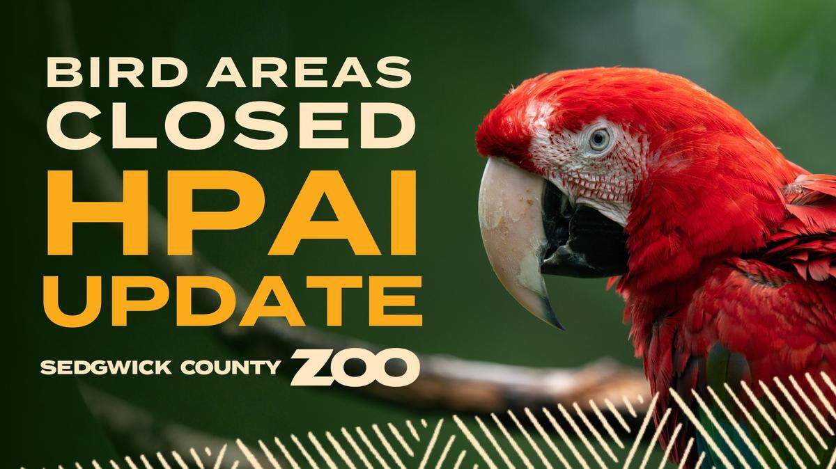 The Sedgwick County Zoo is taking precautions after a wild bird was found at the zoo “showing potential signs” of bird flu.