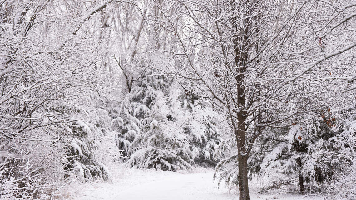 Will Thanksgiving bring Wichita’s first snow of the season? See the holiday forecast
