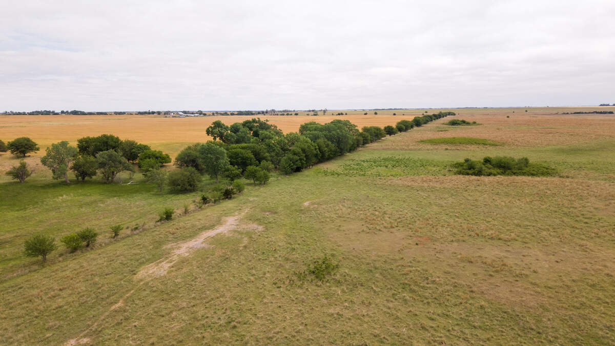 Lone Tree Farms land.