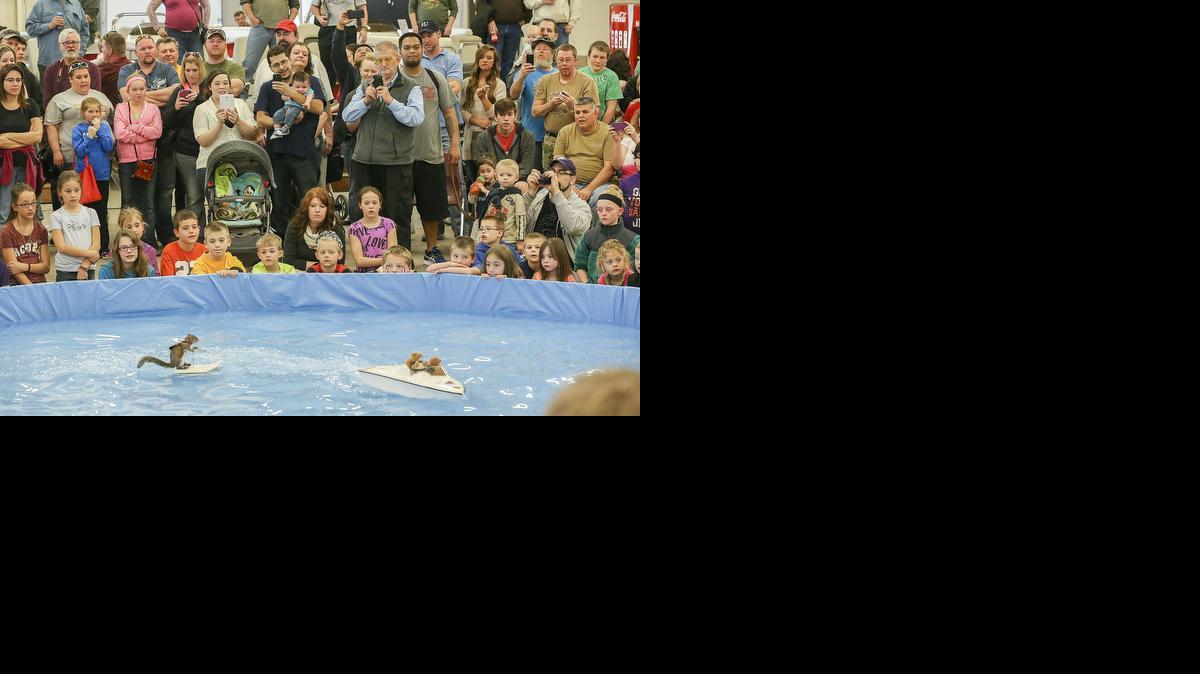 Spectators watch Twiggy the waterskiing squirrel at the Kansas Pavilions Saturday. (Feb. 22, 2014)

