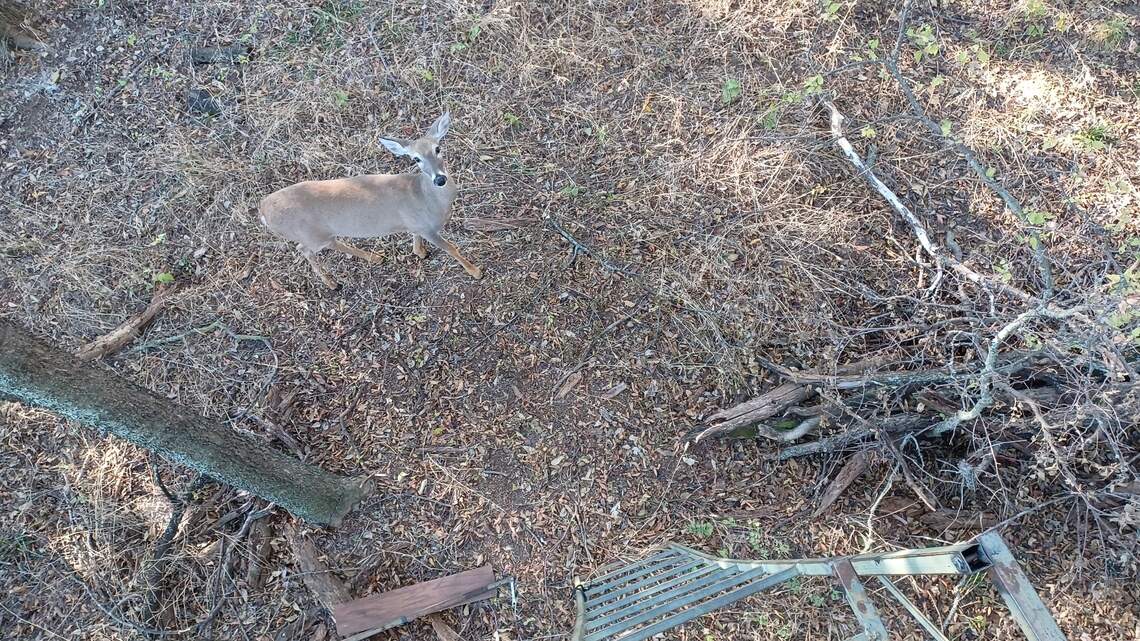 Share your thoughts on deer baiting, and get through the early October doldrums