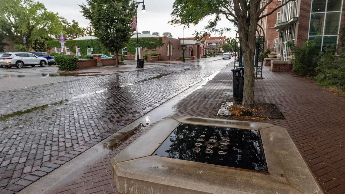 Old Town’s sculptures could soon disappear. Here’s what it would take to save them