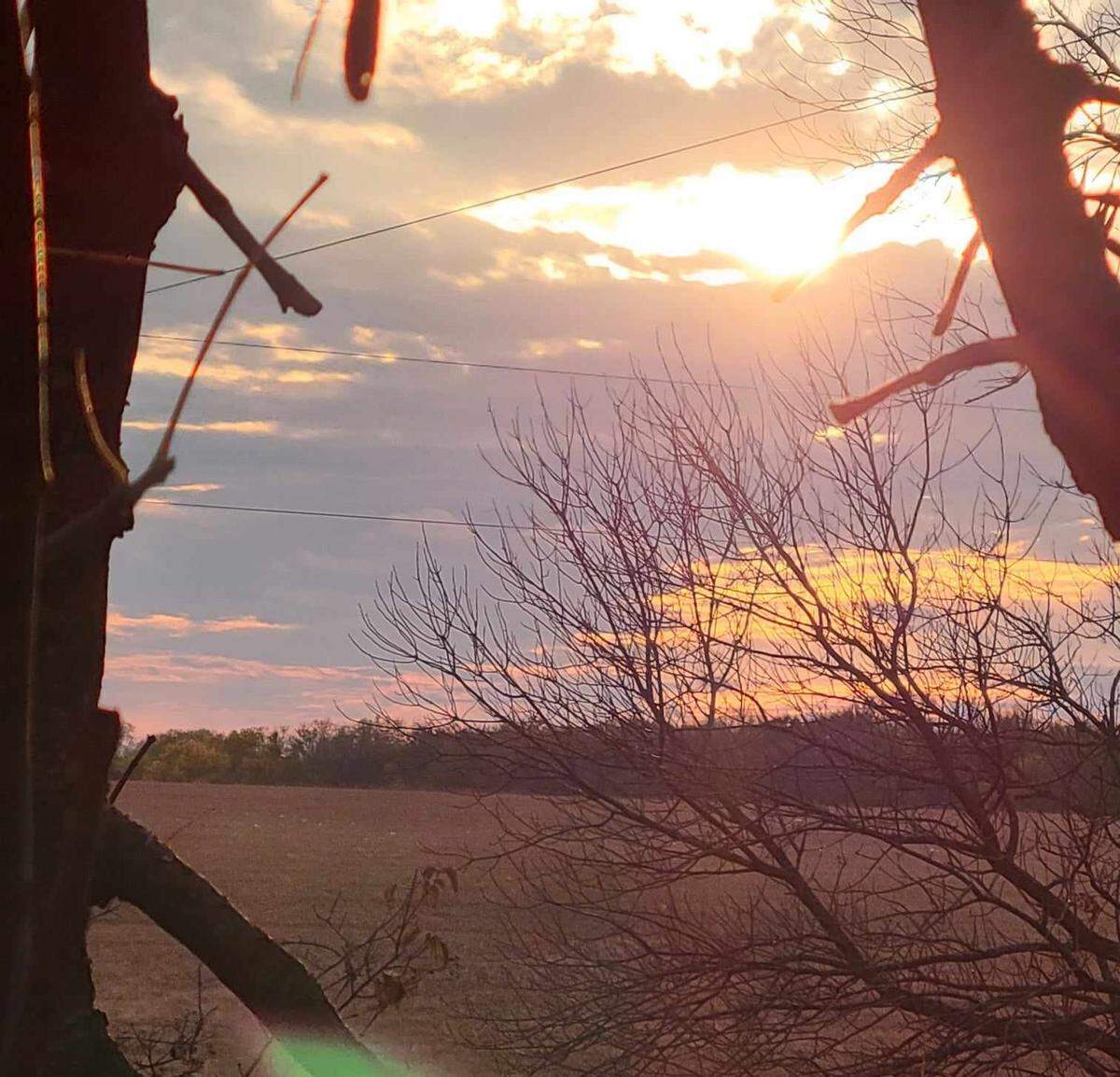 A view from my stand Sunday night. After a windy and overcast day, the sun popped out at last light, making for a beautiful sunset.