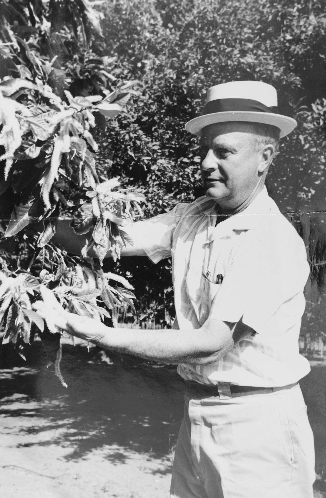 R.E. “Bob” McHenry, or Mr. McHenry as he was known to most, in the early days of his ownership of Hillside Nursery.