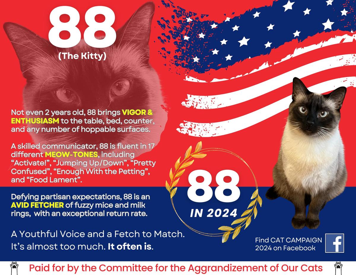 Controversial Wichita cat-idate, 88, “doesn’t have a racist bone in his body,” his owner and campaign manager says.