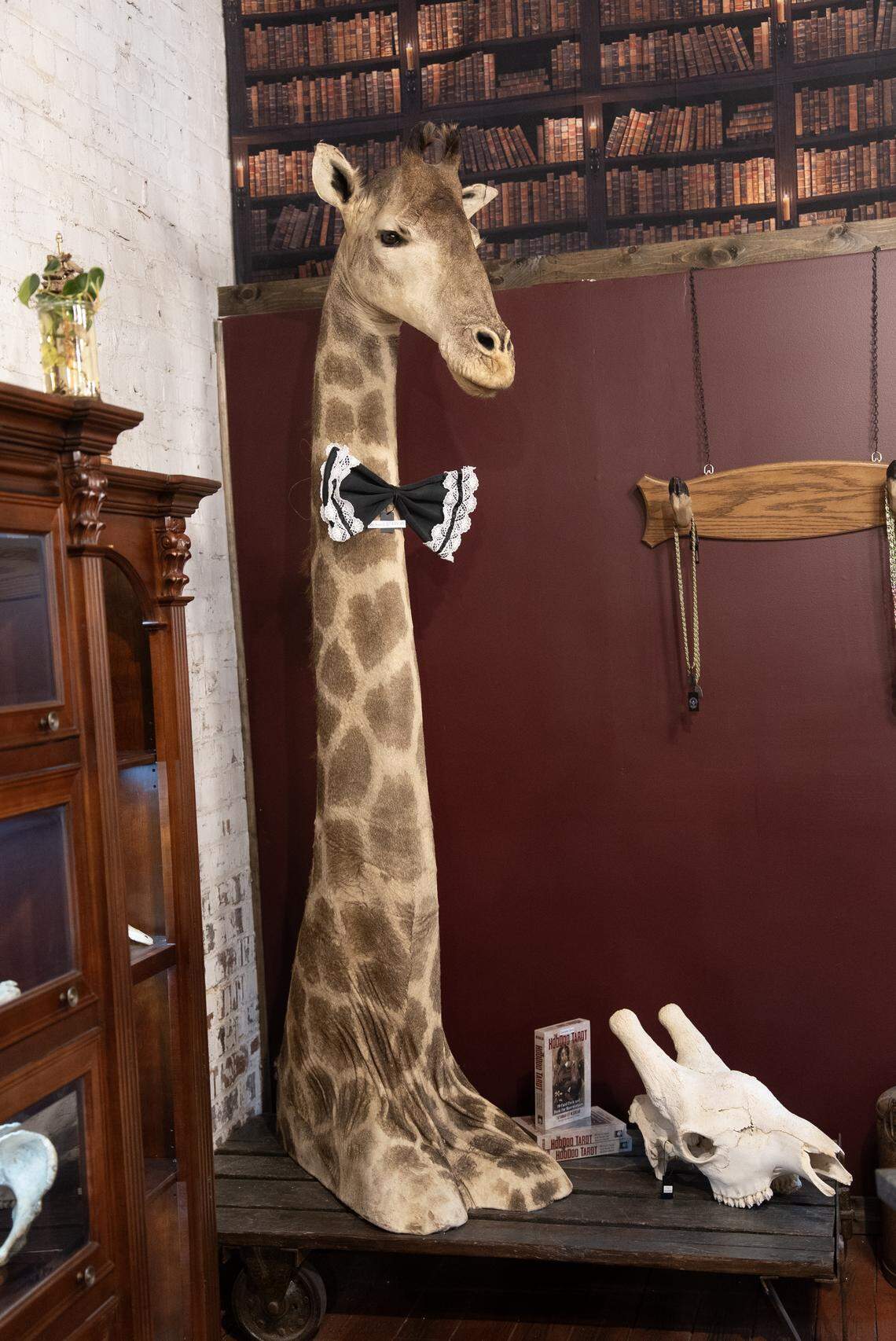 Richard, a stuffed giraffe, is one of the numerous oddities you may encounter at the new Connect with Source store downtown.