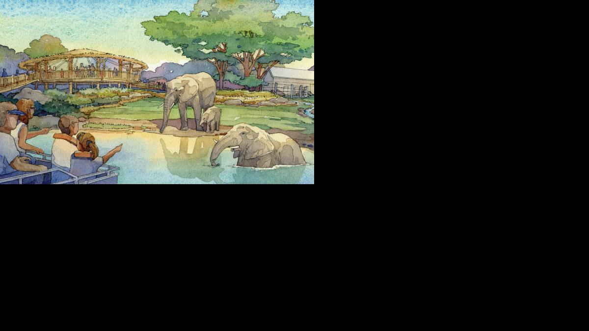 An artist’s drawing shows the look of a planned new elephant exhibit at the Sedgwick County Zoo.

