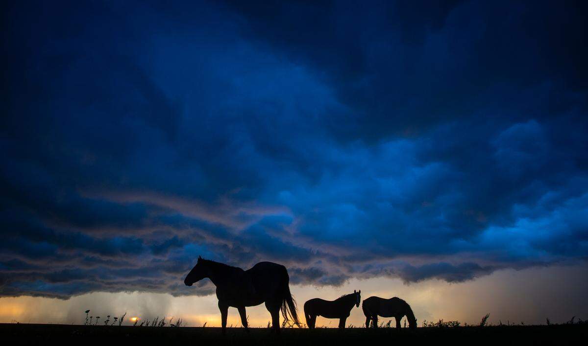 Horses stand in a pasture near Matfield Green as stormy skies envelop the area on the Great Plains.