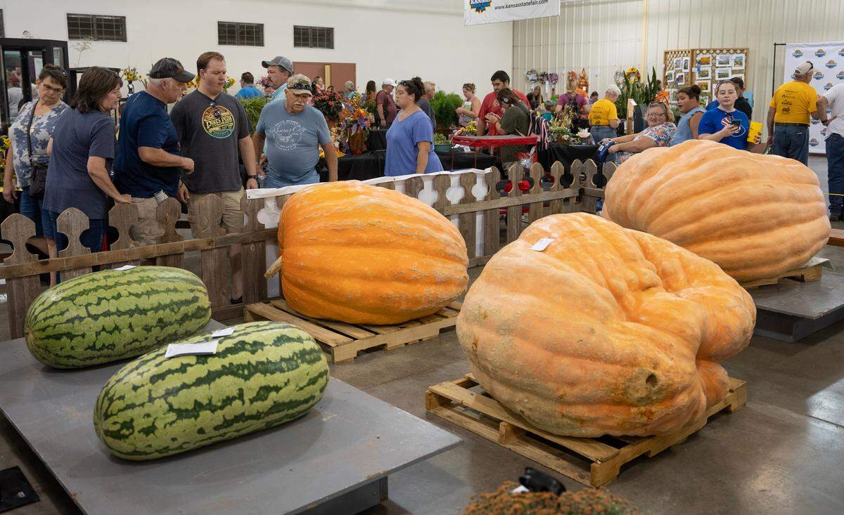 Large pumpkins and melons are an annual attraction at the Kansas State Fair. 