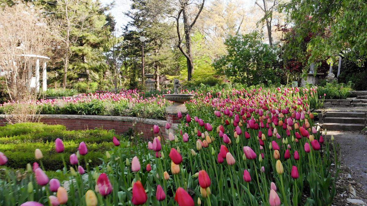 Art at the Arb returns this weekend to Bartlett Arboretum in Belle Plaine.