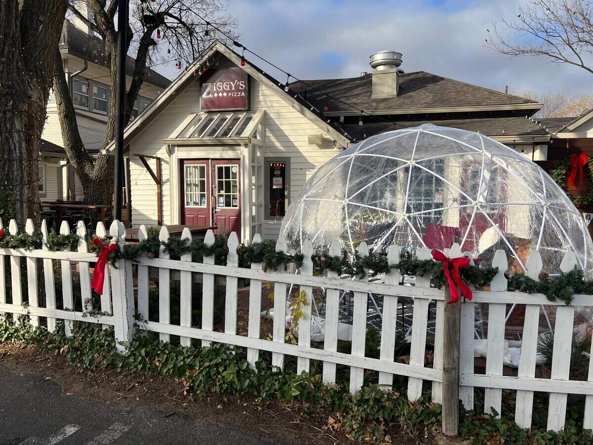 Ziggy’s is offering igloo rentals at all four of its locations during the holiday season.