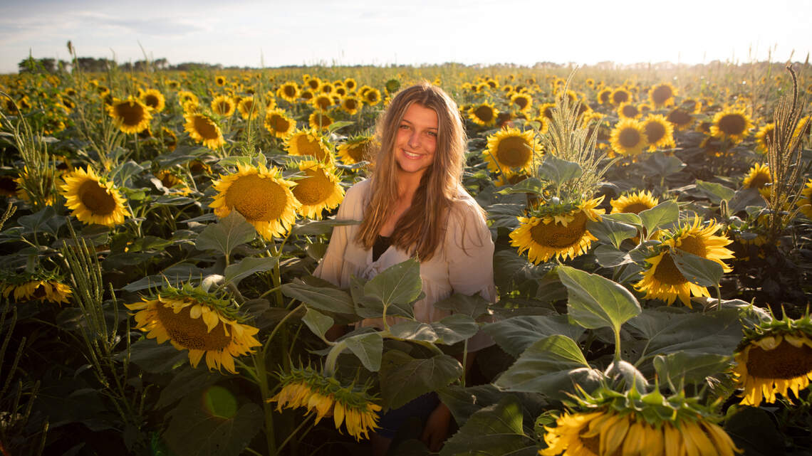 Kansas farm is inviting people to its giant sunflower field for photos, frolicking