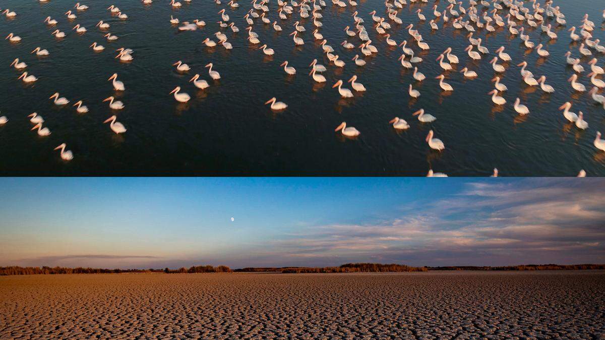 Quivira National Wildlife Refuge in 2017, top, and in Oct. 2022 on bottom. Right now less than 30 of Quivira’s 5,500 acres — or around 0.5% — have any water because of the current drought.