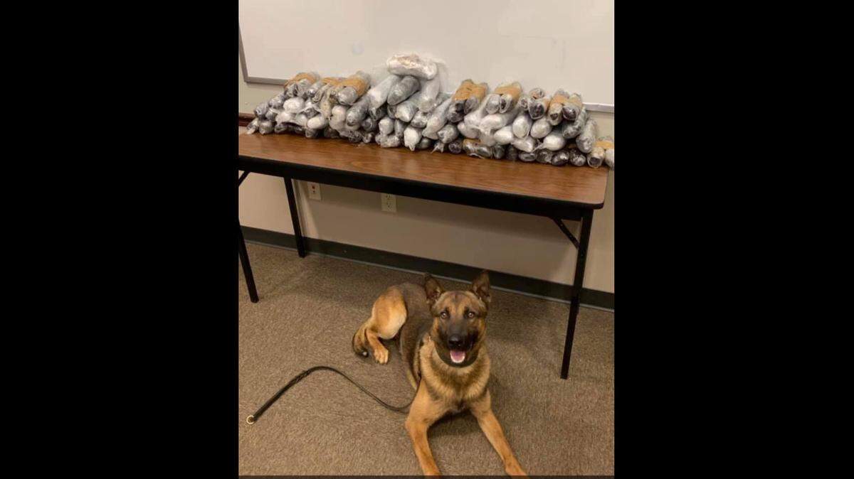 A western Kansas K-9 unit made a $1.2 million drug bust.