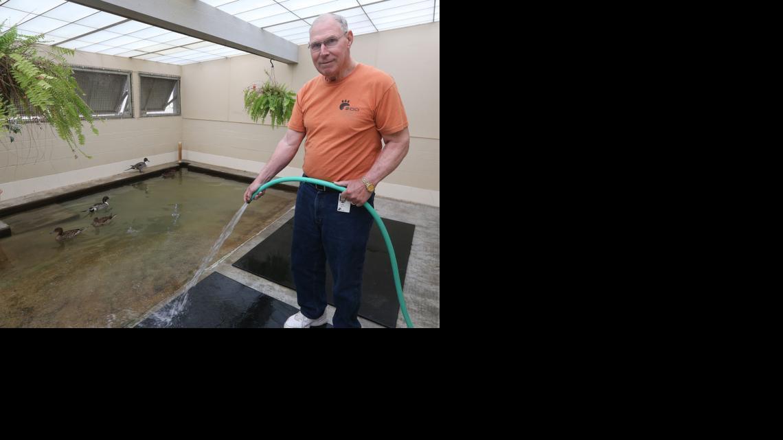 Lou Perrier, a volunteer at the Sedgwick County Zoo, hoses down a duck pond. Perrier, 75, was named the zoo’s 2013 all-around volunteer. He has volunteered since 2001 and has given more than 2,000 hours of service. (April 24, 2014)

