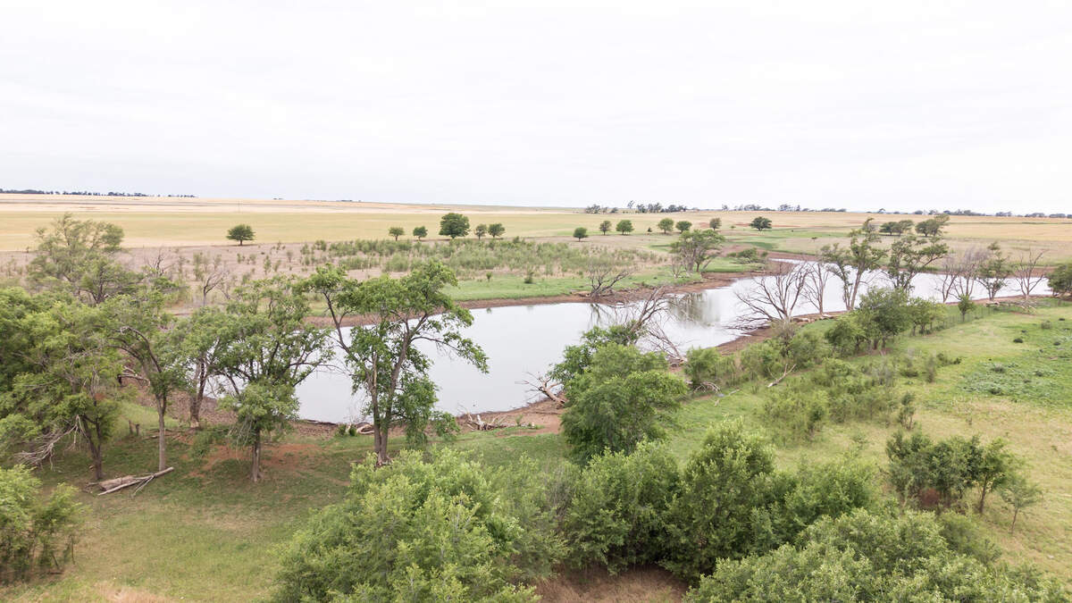 Lone Tree Farms has ponds, wetlands and small lakes.