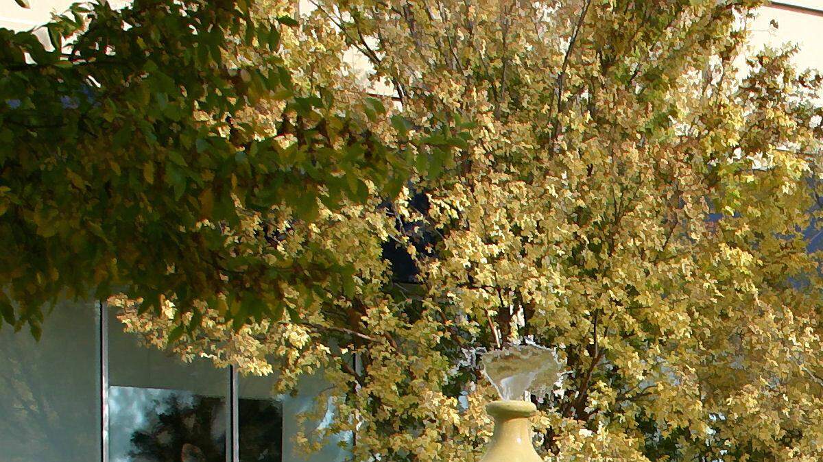 (FILE PHOTO) Bradley Fair fountain