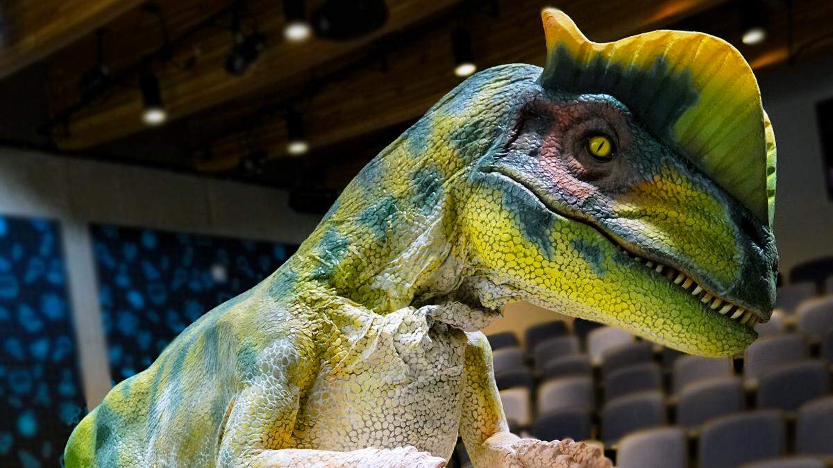 A 7-foot-tall dilophosaurus called Jesse is part of a live science show that complements the new “Expedition: Dinosaur” exhibit at Exploration Place.