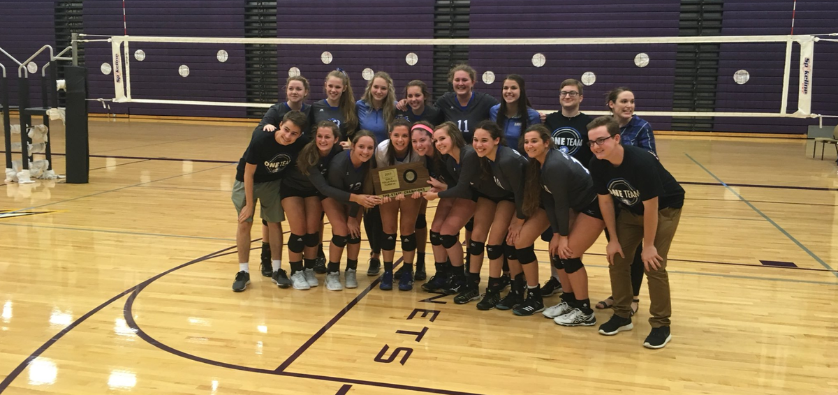 The Andover Trojans' volleyball team won its substate tournament in 2017 to qualify for the 5A tournament.