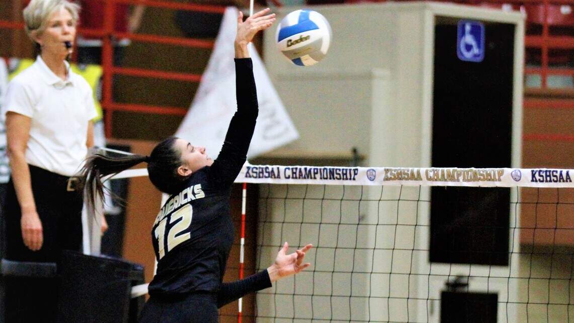 All-league volleyball: Meet the best high school players in the Wichita area from 2019