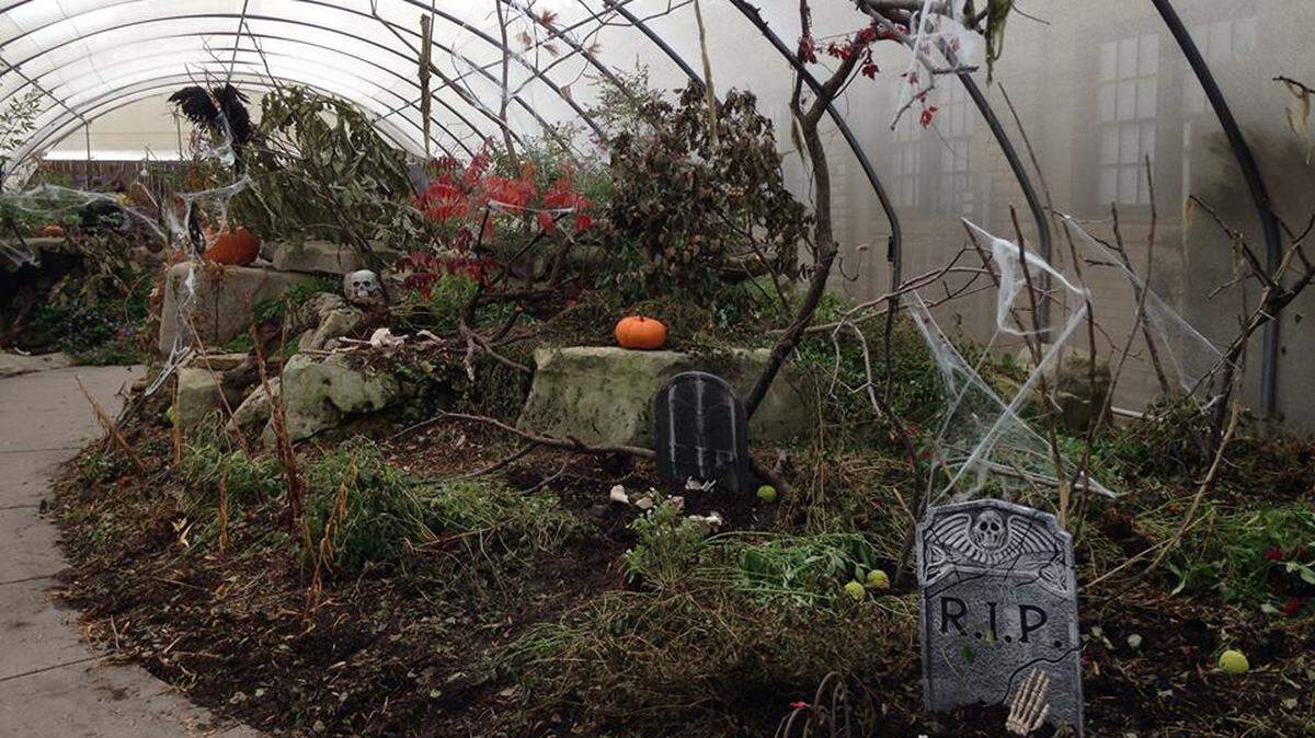 Botanica’s butterfly house will be turned into a plant graveyard of dead and dying plants during BOOtanica, Saturday, Oct. 13.