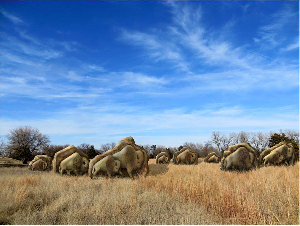 A mockup of buffalo sculptures that will be installed in Sedgwick County Park, to be created by Conrad Snider.