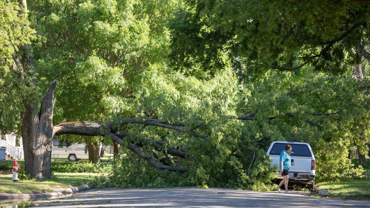 A large piece of a tree lies across a street in Delano on Tuesday morning after a severe thunderstorm moved through the area overnight.