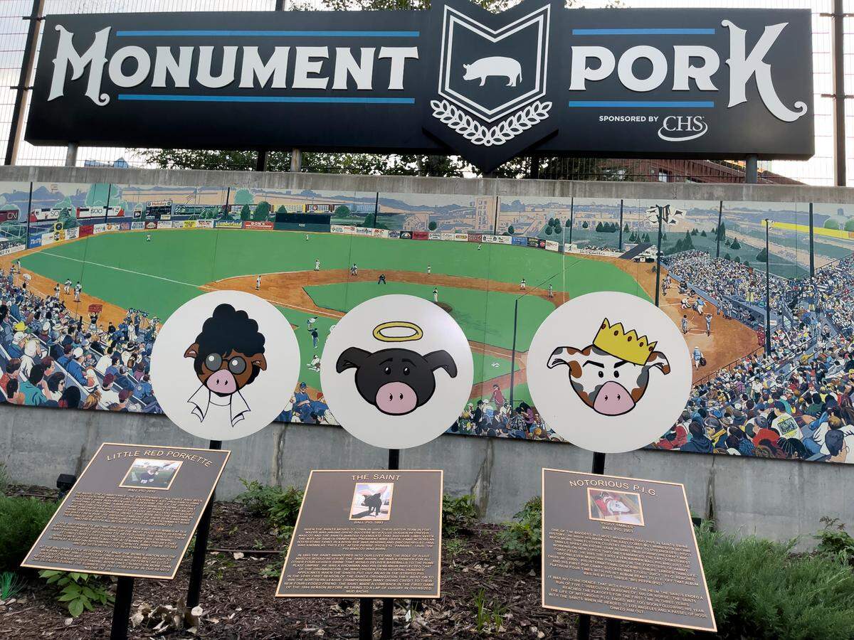 The St. Paul Saints’ memorial pork at CHS Field is dedicated to previous pig mascots
