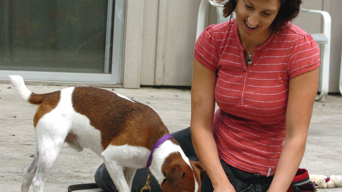 Why your dog is scared of fireworks and what you can do about it