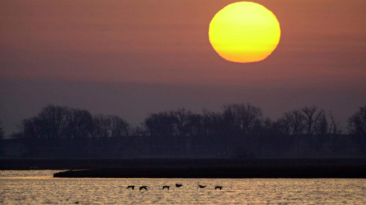 Ducks fly over the water at Cheyenne Bottoms under a rising sun. A proposed solar energy array near the Bottoms, in Barton County, has divided local residents.