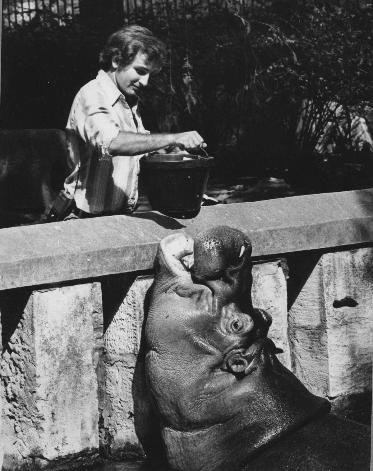 Though he loved all animals, longtime Sedgwick County Zoo executive director Mark Reed was especially fond of rhinos and pigs, whether they were exotic or domestic. He also liked any large, African mammal.