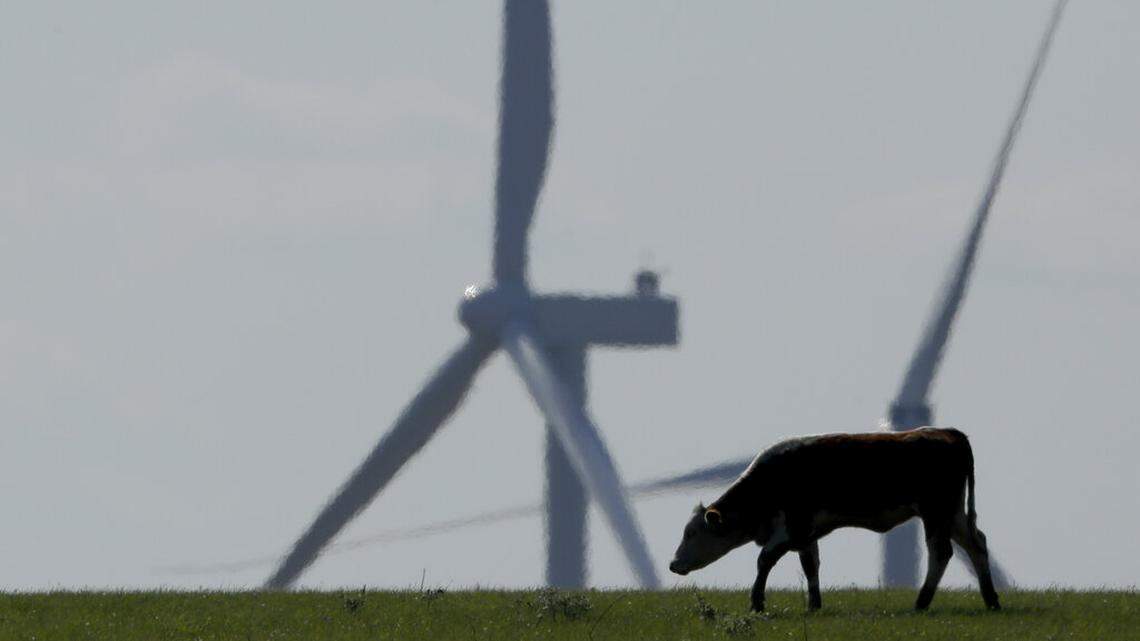 Is wind power coming to your area? Here’s how you can get involved