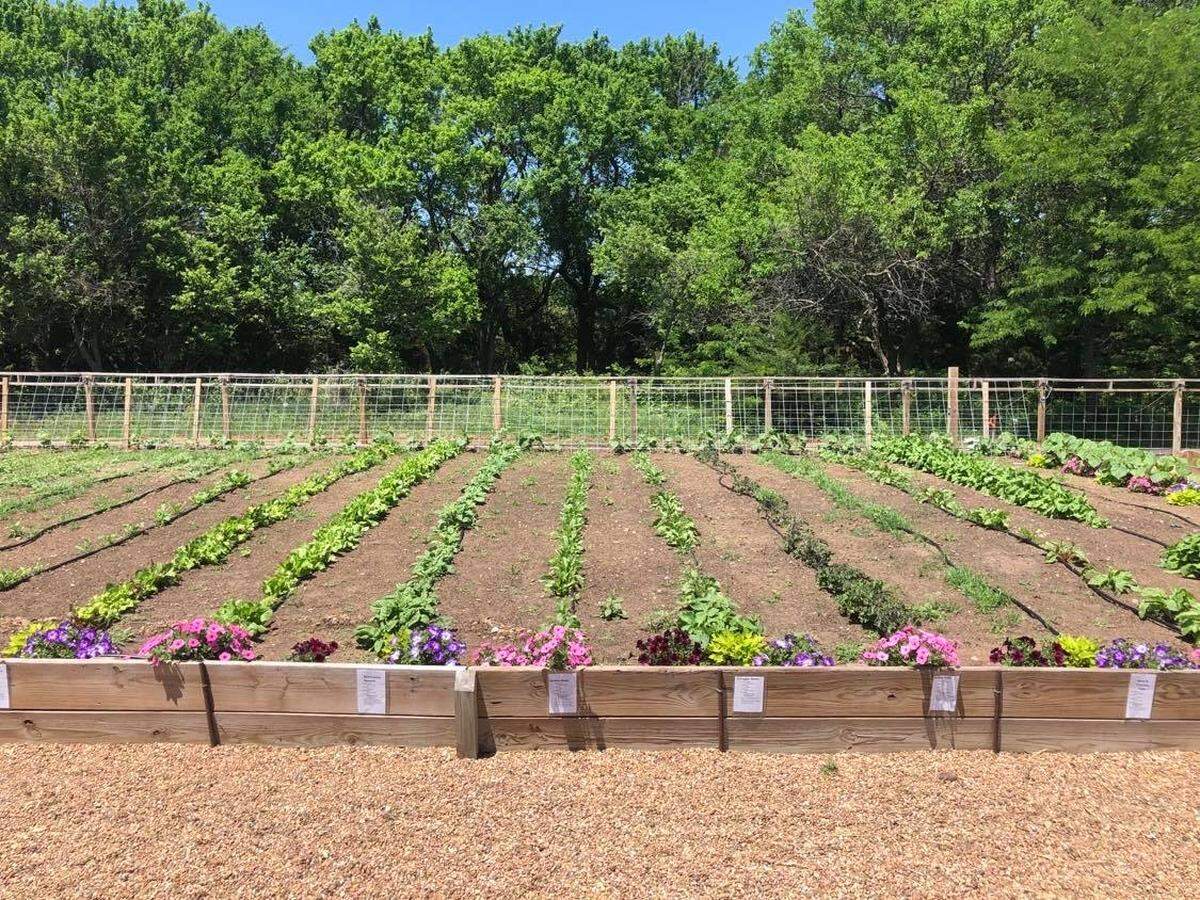 Hooray Ranch’s 30,000 square-foot garden is producing more vegetables than the staff can use right now.